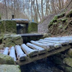 ©Associazione Ecomuseo della Montagna Pistoiese